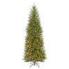 10 ft. Pre-Lit Dunhill Fir Slim Hinged Tree with Clear Lights, Plug-In