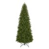 10 ft. Pre-Lit Natural Fraser Slim Fir Tree with Clear Lights, Plug-In