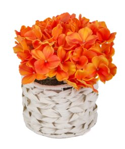 10 in. Spring Orange Hydrangea Bouquet in White Basket