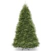 12 ft. Dunhill Fir Tree from National Tree Company