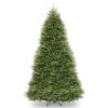 14 ft. Dunhill Fir Hinged Tree from National Tree Company