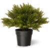 15 in. Artificial Globe Juniper