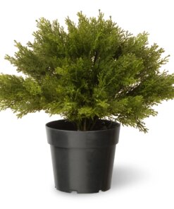 15 in. Artificial Globe Juniper