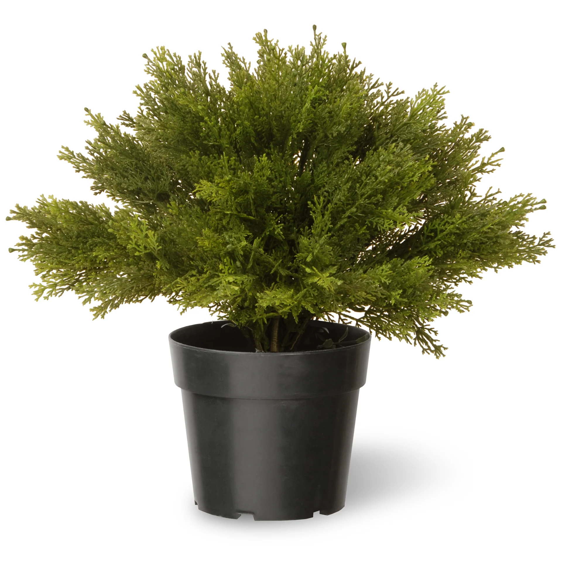 15 in. Artificial Globe Juniper