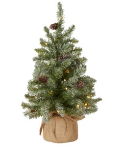 2 ft. Pre-Lit Snowy Concolor Fir Tree with LED Lights
