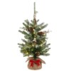 2 ft. Pre-Lit Snowy Morgan Tree with Battery Operated Lights