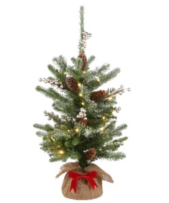 2 ft. Pre-Lit Snowy Morgan Tree with Battery Operated Lights