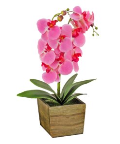 21 in. Spring Pink Orchid Flower in Wood Box