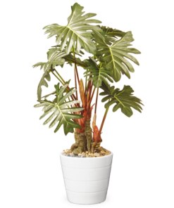 21 in. Spring Potted Philodendron Plant Decoration Garden Accents in Ceramic Pot