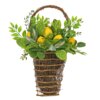 21 in. Spring Wall Hanging Basket with Lemons, Seed Pods, Leafy Greens