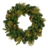 24 in. Pre-Lit Carolina Pine Wreath with Warm White LED Lights