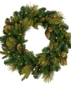 24 in. Pre-Lit Carolina Pine Wreath with Warm White LED Lights