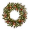 24 in. Pre-Lit Frosted Pine Berry Wreath with Warm White LED Lights
