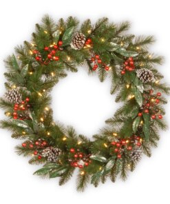 24 in. Pre-Lit Frosted Pine Berry Wreath with Warm White LED Lights
