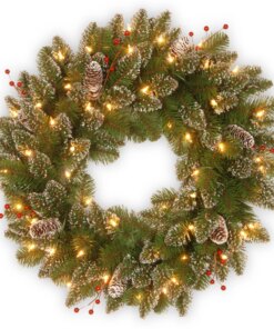24 in. Pre-Lit Glittery Mountain Spruce with LED Lights