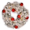 24 in. Pre-Lit Snowy Bristle Pine Wreath with LED Lights