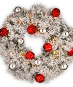 24 in. Pre-Lit Snowy Bristle Pine Wreath with LED Lights