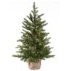 3 ft. Pre-Lit Nordic Spruce Small Tree in Burlap with Clear Lights