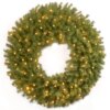 30 in. Pre-Lit Norwood Fir Wreath with Warm White LED Lights