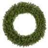 48 in. Pre-Lit Norwood Fir Wreath with Warm White LED Lights, Plug-In