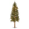 5 ft. Pre-Lit Hickory Cedar Bark Tree with Clear Lights, Plug-In