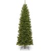 6 ft. North Valley Spruce Pencil Slim Tree