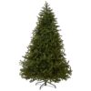 6.5 ft. Norway Fir Tree by National Tree Company