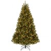 6.5 ft. Pre-Lit Downswept Douglas Fir Hinged Tree with Dual Color LED Lights