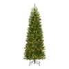 6.5 ft. Pre-Lit Downswept Douglas Fir Pencil Slim Hinged Tree with Dual Color LED Lights