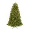 6.5 ft. Pre-Lit Downswept Douglas Fir Tree with Clear Lights