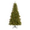 6.5 ft. Pre-Lit Dunhill Fir Slim Tree with Clear Lights
