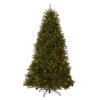 6.5 ft. Pre-Lit Dunhill Fir with PowerConnect Dual Color LED Lights, Plug-In