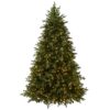 6.5 ft. Pre-Lit Princeton Fraser Fir Hinged Tree with PowerConnect Dual Color LED Lights