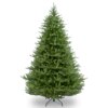 7 ft. Norway Fir Tree by National Tree Company