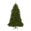 7.5 ft. Dunhill Fir Hinged Tree from National Tree Company
