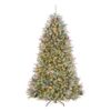 7.5 ft. Pre-Lit Dunhill Fir Flocked Tree with 750 Clear Lights