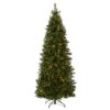 7.5 ft. Pre-Lit Leigh Valley Slim Tree with Dual Color LED Lights