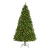 7.5 ft. Pre-Lit North Valley Spruce Tree with PowerConnect Light Parade LED Lights