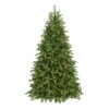 7.5 ft. Pre-Lit Princeton Fraser Fir Full Tree with PowerConnect and Dual Color LED Lights