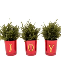 8 in. Christmas Joy Tabletop Card Holder Votive 3 Piece featuring three mini Christmas trees in red glass votives