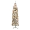 9 ft. Pre-Lit Acacia Flocked Slim Tree with Clear Lights