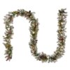 9 ft. Pre-Lit Dunhill Fir Garland with Clear Lights, Plug-In