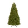 9 ft. Pre-Lit Dunhill Fir Hinged Tree with PowerConnect Clear Lights