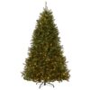 9 ft. Pre-Lit Dunhill Fir Tree with PowerConnect Dual Color LED Lights