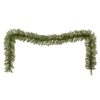 9 ft. Pre-Lit Norwood Fir Garland with Clear Lights - 10 in Diameter