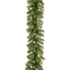 9 ft. Pre-Lit Norwood Fir Garland with Warm White LED Lights, Plug-In