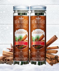 Scented Ornaments, 2-Pack- 6ct Bottle, 2 Dashes of Cinnamon, Fragrance-Infused Paper Sticks