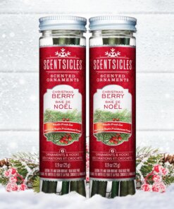 Scented Ornaments, 2-Pack- 6ct Bottle, Christmas Berry, Fragrance-Infused Paper Sticks