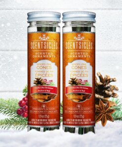 Scented Ornaments, 2-Pack- 6ct Bottle, Spiced Pine Cones, Fragrance-Infused Paper Sticks