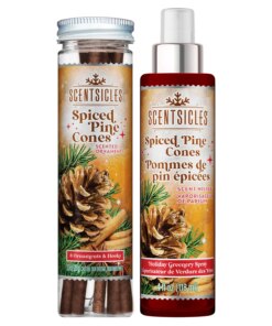 Scentsicles 6pc Stick and Spray Spiced Pine Cones - 2 Pack